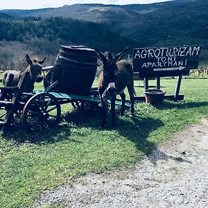 Agroturizam Toni Apartment Motovun
